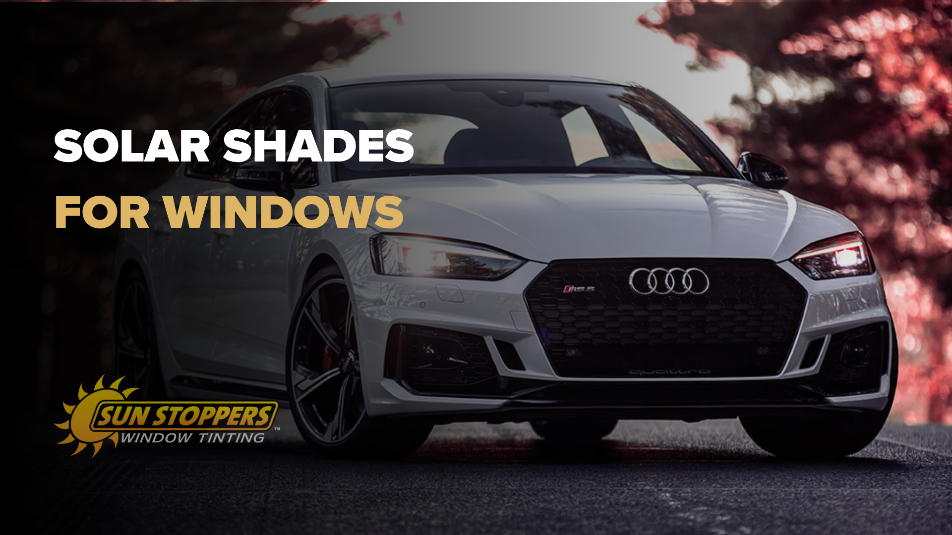 Solar Shades for Windows in Charlotte, NC: Cost & Best Options